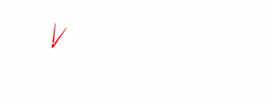 ICAEW CharteredAccountants Logo